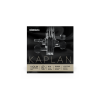 D'Addario K420B-3 Kaplan GSS Violin E Ball Medium