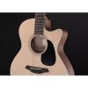 Furch Blue Deluxe Gc-SW LR Baggs SPE