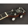 Richwood RMB-604-SS banjo tenor 4 str short scale