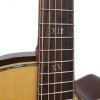 Furch Red Deluxe Gc-SR L.R. Baggs Anthem