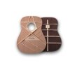 Furch Blue Gc-CM LR Baggs SPE