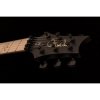 PRS DW CE 24 “Floyd” Limited Edition