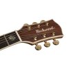 Richwood D-270-VA gitara akustyczna 