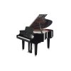 Yamaha C2X PEC