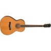 Fender Paramount FSR PS-220E Parlor Cedar Top