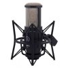 AKG P220