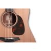 Furch Blue Gc-CM LR Baggs SPE