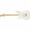 Fender Player Strat PF PWT