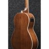 Ibanez PNB14E-OPN Gitara Basowa elektro-akustyczna