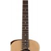 Luna Safari Dolphin - gitara akustyczna 3/4