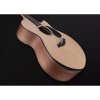 Furch Blue Deluxe Gc-SW LR Baggs SPE
