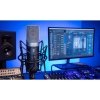 Slate Digital VMS ML-1A Modeling Microphone