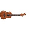 Ortega RUWN Ukulele koncertowe