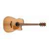 Ibanez AVD15PFRCE-OPS Artwood Vintage Thermo Aged Open Pore Semi Gloss 
