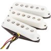 Fender Tex-Mex Stratocaster Set