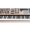 ARTURIA POLYBRUTE 12 syntezator polifoniczny