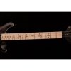 PRS DW CE 24 “Floyd” Limited Edition