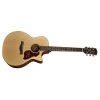 Richwood G-20-CE