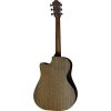 Furch Blue Performance DC-EM LR Baggs EAS VTC