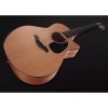 Furch Blue Deluxe Gc-CM LR Baggs SPE