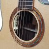 Furch Red Deluxe Gc-SR L.R. Baggs Anthem