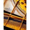 C. Bechstein C 234 - fortepian akustyczny