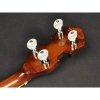 Richwood RMB-604-SS banjo tenor 4 str short scale
