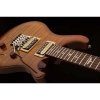 PRS 2017  SE Custom 24 Floyd Vintage Sunburst 