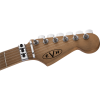 EVH Striped Series Frankenstein Frankie Maple Fingerboard Red with Black Stripes Relic