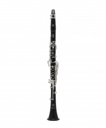Henri Selmer Paris PRIVILÈGE - klarnet B