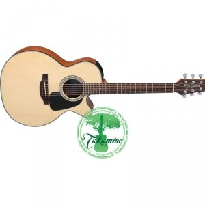 Takamine GX18CE-NS
