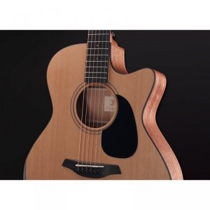 Furch Blue Deluxe Gc-CM LR Baggs SPE