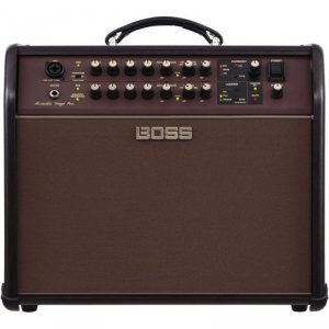 Boss ACS-Pro Acoustic Singer