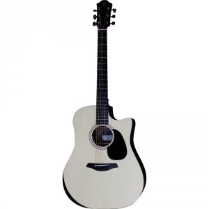 Furch Blue Performance DC-EW LR Baggs EAS VTC