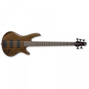 Ibanez GSR205BWNF Gitara basowa