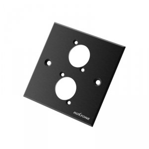 Roxtone RWPA60-2-BK Panel