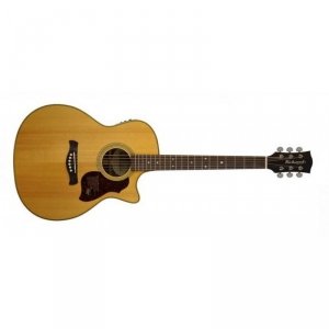 Richwood G-65-CEVA Grand Auditorium