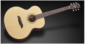 Framus FJ 14 SV VSNT Jumbo