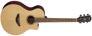 Yamaha APX600M NT