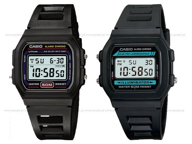 casio w84