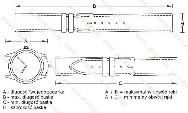 CASIO MRW-210H-7AV oryginalny pasek 20 mm