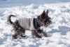 Ami Play Sweter dla psa Oslo 50cm Czarny