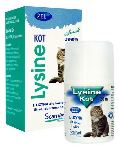 ScanVet Lysine kot żel - preparat z L-lizyną dla kotów i kociąt żel 50ml