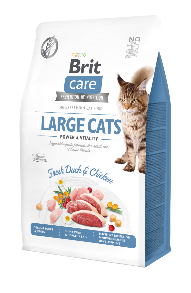 BRIT CARE CAT Large Cats 400g