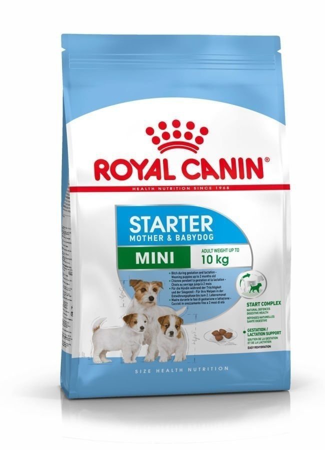 ROYAL CANIN Mini Starter Mother Babydog 1kg