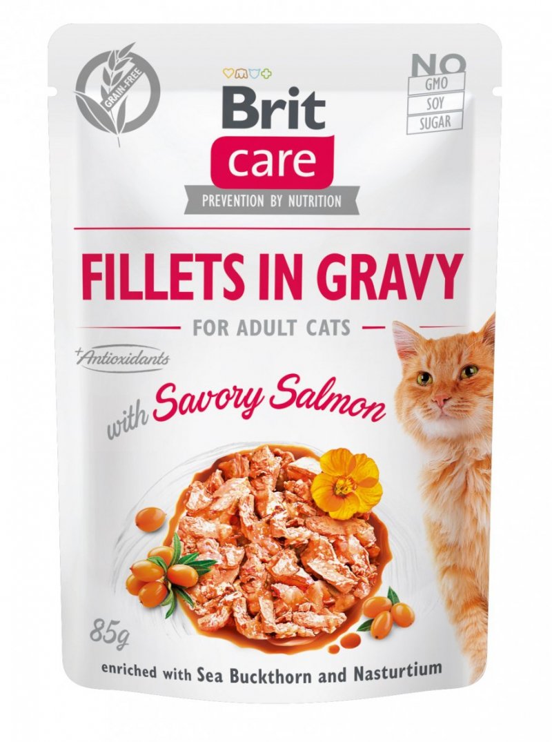 Brit Care Cat Łosoś filety w sosie 85g