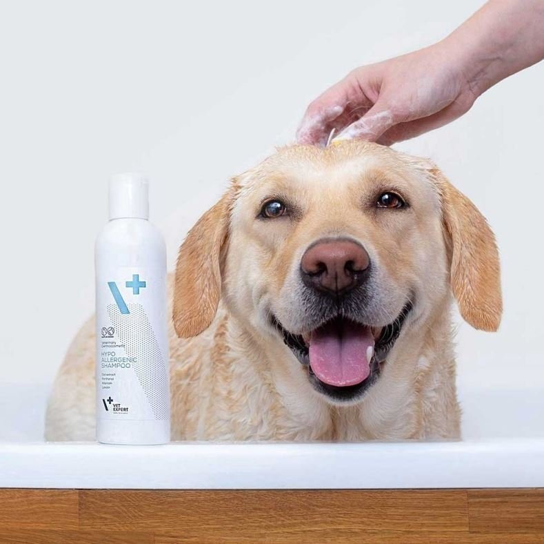 VetExpert Hypoallergenic szampon dla psów i kotów 250ml