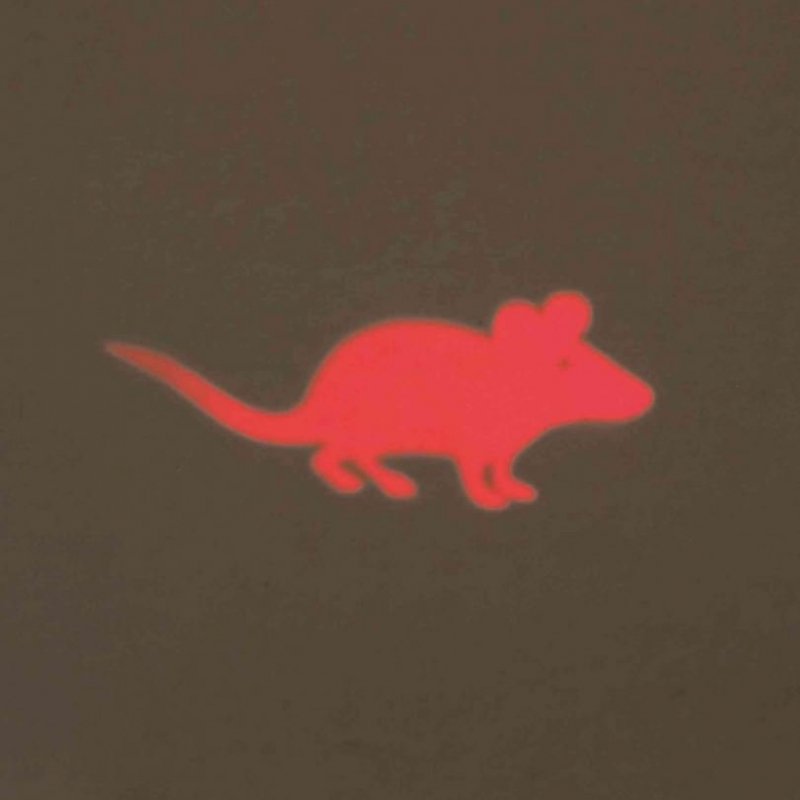 TRIXIE Wskaźnik Laserowy LED mysz, plastik, 11 cm TX-41310