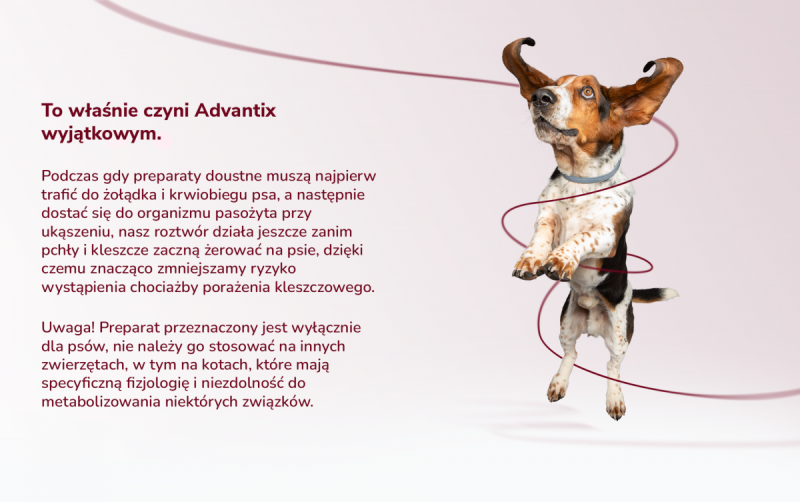 BAYER ADVANTIX dla małych psów – powyżej 4 do 10kg 4 pipety