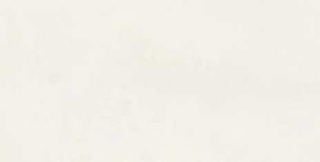 Domino Biloba Ivory 30,8x60,8